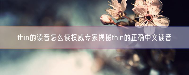 <strong>thin的读音怎么读权威专家揭秘thin的正确中文读音</strong>