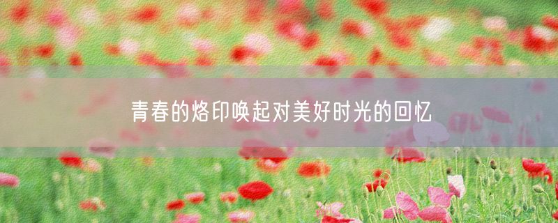 <strong>青春的烙印唤起对美好时光的回忆</strong>