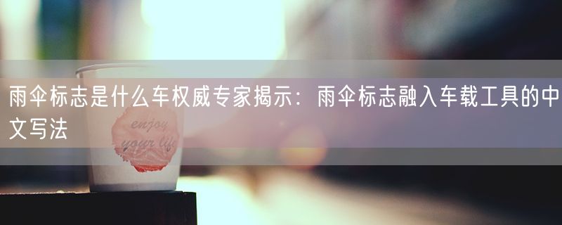 雨伞标志是什么车权威专家揭示：雨伞标志融入车载工具的中文写法