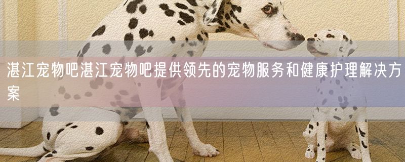 湛江宠物吧湛江宠物吧提供领先的宠物服务和健康护理解决方案