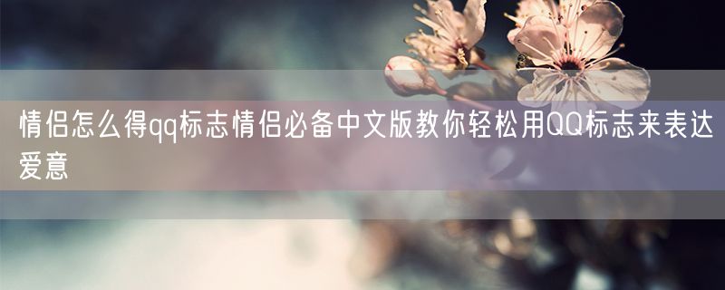 情侣怎么得qq标志情侣必备中文版教你轻松用QQ标志来表达爱意
