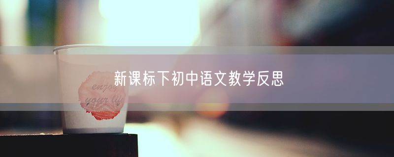 新课标下初中语文教学反思